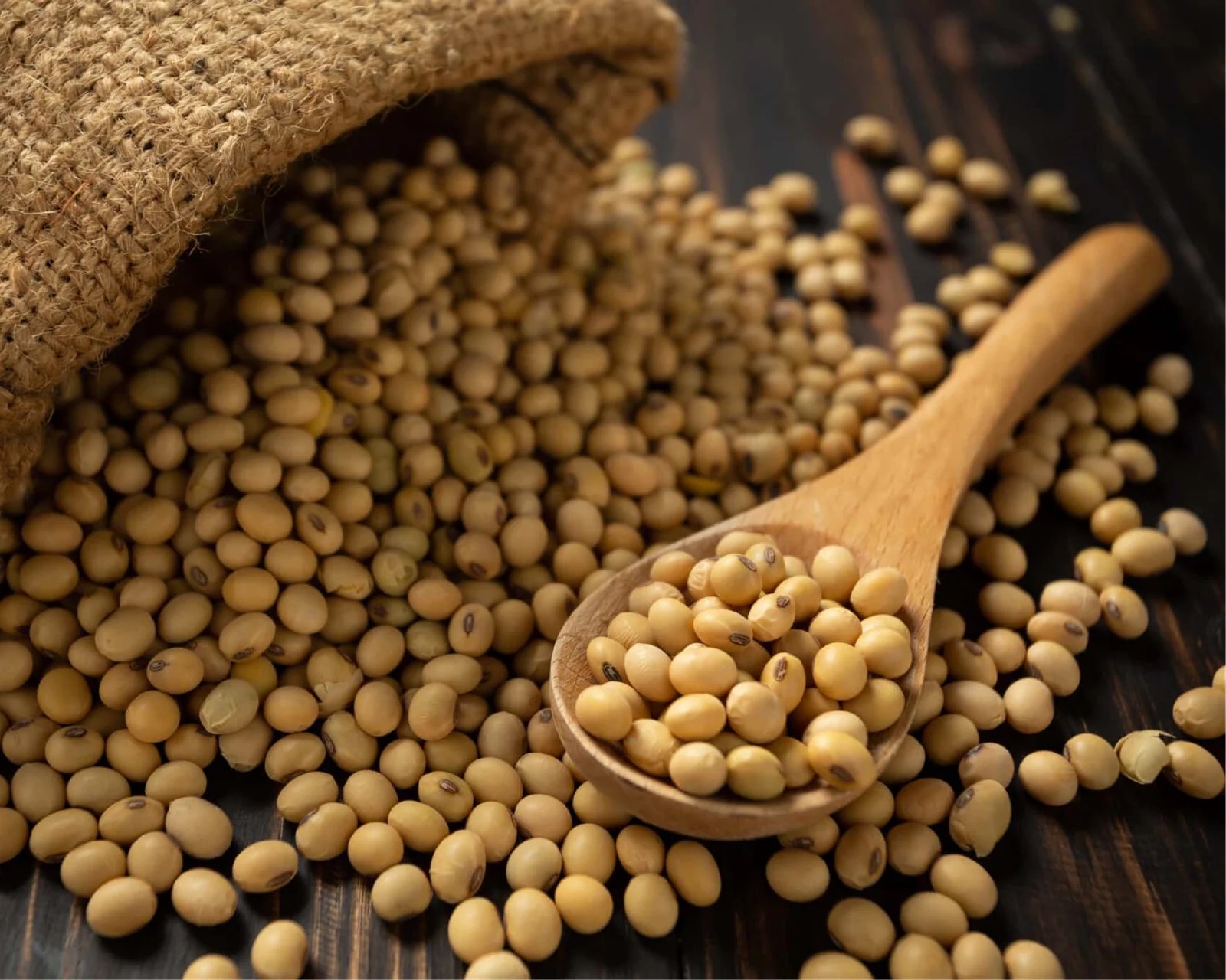 Soybeans, the source of the fermented postbiotic